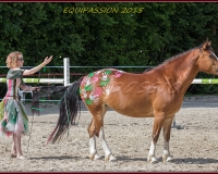 1-13JUIN 0863